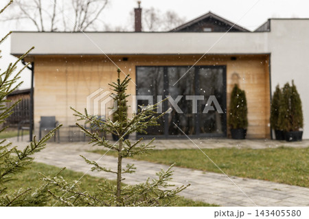 Snowfall on small conifer tree in front of modern house Snowfall on small conifer tree in front of modern house 143405580