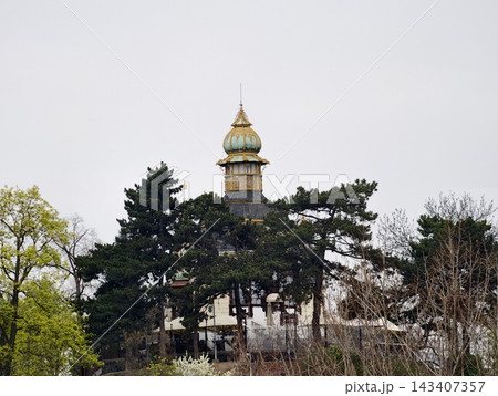 Pineframed Onion Dome with Gilded Top. Serene Skyline Mood Highlights Gilded Dome Above Pine Forest Pineframed Onion Dome with Gilded Top. Serene Skyline Mood Highlights Gilded Dome Above Pine Forest 143407357