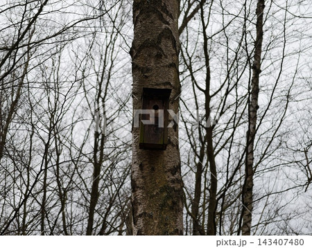 Weathered wooden nest among leafless branches. Birdhouse attached to mosscovered trunk in gray sky Weathered wooden nest among leafless branches. Birdhouse attached to mosscovered trunk in gray sky 143407480