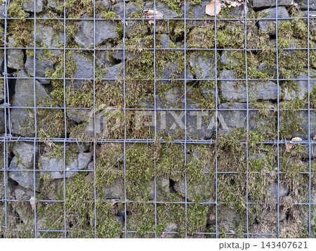 Old mosscovered stones behind metal grid. Closeup of aged stones and lush natural moss growth Old mosscovered stones behind metal grid. Closeup of aged stones and lush natural moss growth 143407621