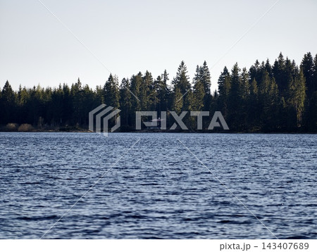 Peaceful waterscape scene. Gentle ripples on grassy shore leading to distant wooded lakeside scene 143407689