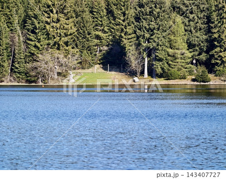 Peaceful clearing by tranquil lake. Solitary woodland opening contrasted with still lake and lush greenery Peaceful clearing by tranquil lake. Solitary woodland opening contrasted with still lake and lush greenery 143407727