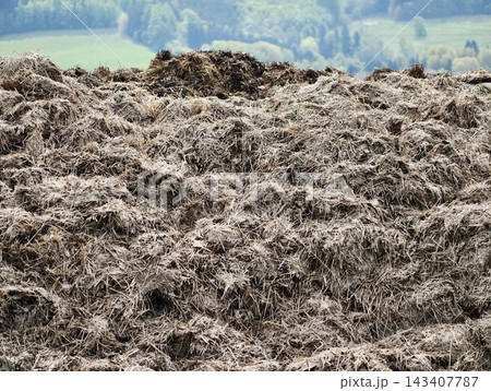 Renewing earth through decomposing plant waste and promoting ecofriendly farming strategies Renewing earth through decomposing plant waste and promoting ecofriendly farming strategies 143407787