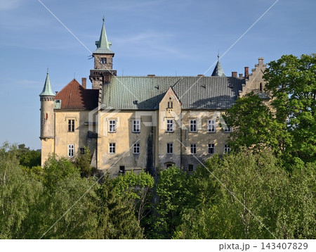 Vibrant sunlight bathes historic hilltop castle surrounded by nature and charming landscapes Vibrant sunlight bathes historic hilltop castle surrounded by nature and charming landscapes 143407829