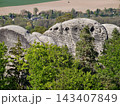 Cliff face adorned with moss and foliage. Layered rocky surface surrounded by lush plant life 143407849