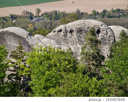 Cliff face adorned with moss and foliage. Layered rocky surface surrounded by lush plant life 143407849
