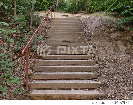 Outdoor stone steps with rusty red handrail descending through lush forest path, weathered concrete staircase surrounded by green ferns and pine shade Outdoor stone steps with rusty red handrail descending through lush forest path, weathered concrete staircase surrounded by green ferns and pine shade 143407976