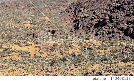 A breathtakingly stunning Rocky Desert Landscape adorned with unique vegetation and features A breathtakingly stunning Rocky Desert Landscape adorned with unique vegetation and features 143408138