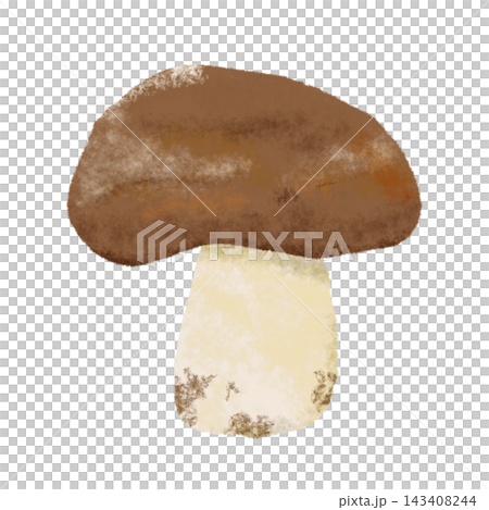 Watercolor illustration of shiitake mushrooms - an autumn ingredient 143408244