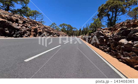 A beautiful scenic mountain road winding through a lush and vibrant pine forest 143408365