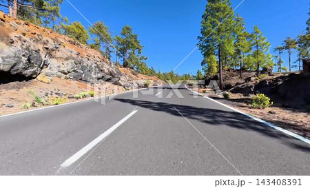 The Scenic Mountain Road is Beautifully Surrounded by Tall Pine Trees and Nature The Scenic Mountain Road is Beautifully Surrounded by Tall Pine Trees and Nature 143408391