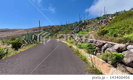 Enjoy a beautiful and scenic coastal road adorned with stunning agave plants under clear blue skies Enjoy a beautiful and scenic coastal road adorned with stunning agave plants under clear blue skies 143408408