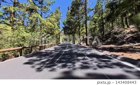 A Beautiful and Scenic Forest Roadway That Lies Underneath a Bright and Clear Blue Sky Above A Beautiful and Scenic Forest Roadway That Lies Underneath a Bright and Clear Blue Sky Above 143408443