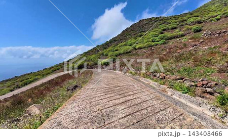 A scenic sloped pathway surrounded by lush greenery, vibrant vegetation, and bright skies 143408466