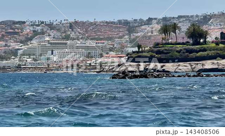 Stunning Coastal View featuring Beautiful Palm Trees and Gentle Ocean Waves Rolling In Stunning Coastal View featuring Beautiful Palm Trees and Gentle Ocean Waves Rolling In 143408506