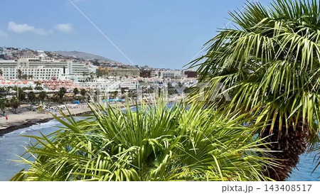 A stunning Tropical Beachfront View showcasing Palm Trees in a beautiful Coastal Setting A stunning Tropical Beachfront View showcasing Palm Trees in a beautiful Coastal Setting 143408517