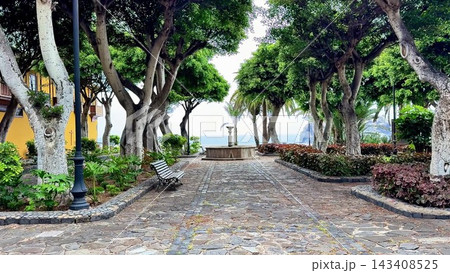 A Charming Park Pathway Surrounded by Lush Green Trees and a Serene Tranquil Fountain 143408525