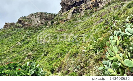 Lush Greenery and Rocky Terrain Stretching Along a Serene and Peaceful Pathway Ahead 143408626