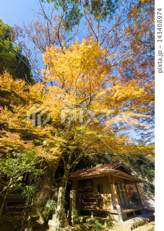神社と紅葉（大分県九重町龍門の滝） 143408974