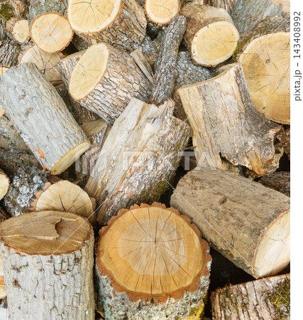 Chopped tree firewood logs stacked showing tree bark. 143408992