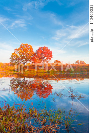 Autumn forest reflected in still lake Autumn forest reflected in still lake 143409035
