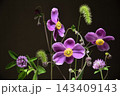 小花でカラフルな背景素材 143409143