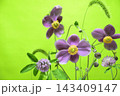 小花でカラフルな背景素材 143409147