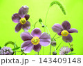 小花でカラフルな背景素材 143409148
