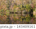 池と紅葉（大分県中津市耶馬渓） 143409161