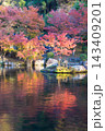 紅葉と反射（大分県中津市耶馬渓渓石園） 143409201