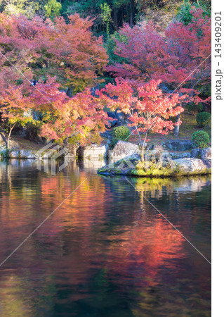 紅葉と反射（大分県中津市耶馬渓渓石園） 143409201