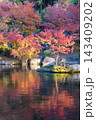 紅葉と反射（大分県中津市耶馬渓渓石園） 143409202