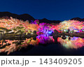 紅葉ライトアップ（大分県中津市耶馬渓渓石園） 143409205