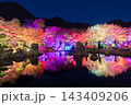 紅葉ライトアップ（大分県中津市耶馬渓渓石園） 143409206