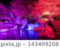 紅葉ライトアップ（大分県中津市耶馬渓渓石園） 143409208