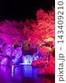 紅葉ライトアップ（大分県中津市耶馬渓渓石園） 143409210
