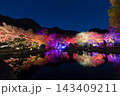 紅葉ライトアップ（大分県中津市耶馬渓渓石園） 143409211