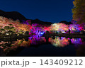 紅葉ライトアップ（大分県中津市耶馬渓渓石園） 143409212
