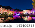 紅葉ライトアップ（大分県中津市耶馬渓渓石園） 143409213
