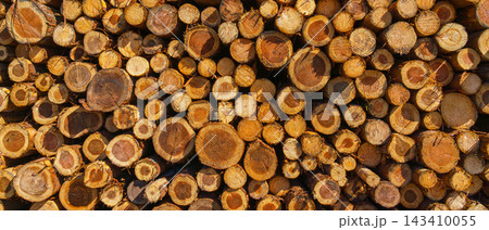 Yatsushiro, Kumamoto Pref, Japan - Oct 9 2024, A panoramic view of stacked logs and lumber showing end-cuts of wood prepared for transport, without people, at daytime, Yatsushiro, Japan 143410055