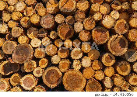 Yatsushiro, Kumamoto Pref, Japan - Oct 9 2024, A panoramic view of stacked logs and lumber showing end-cuts of wood prepared for transport, without people, at daytime, Yatsushiro, Japan 143410056