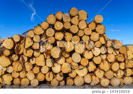 Yatsushiro, Kumamoto Pref, Japan - Oct 9 2024, A panoramic view of stacked logs and lumber showing end-cuts of wood prepared for transport, without people, at daytime, Yatsushiro, Japan 143410058