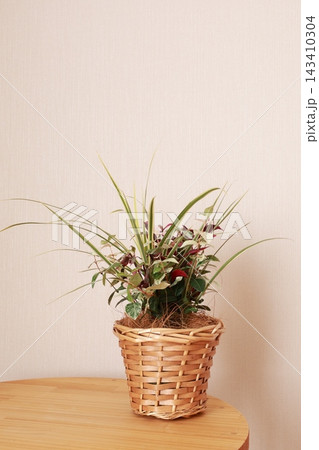 寄せ植え 寄せ植え 143410304