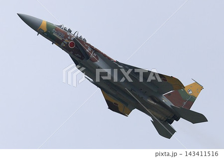 F-15戦闘機（アグレッサー部隊） 143411516