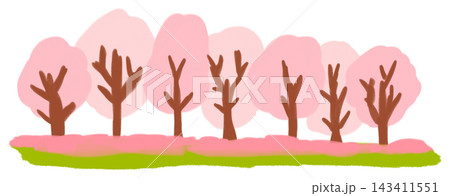 桜の木が並ぶ風景 桜の木が並ぶ風景 143411551