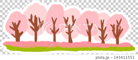 桜の木が並ぶ風景 桜の木が並ぶ風景 143411551