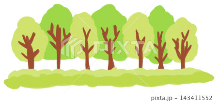 緑の木のイラスト 緑の木のイラスト 143411552