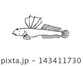 ムツゴロウの筆ペンタッチ手描き線画 143411730