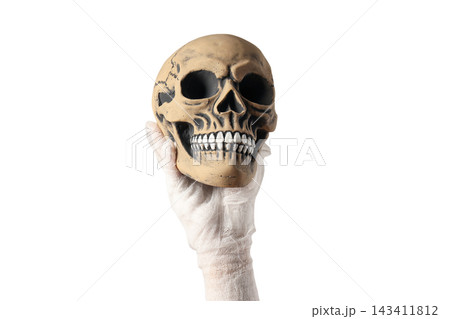 Hand wearing glove presents skull against plain background, PNG Hand wearing glove presents skull against plain background, PNG 143411812