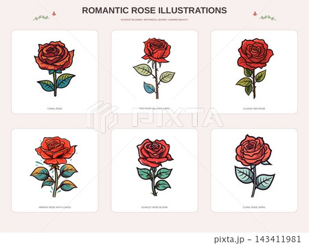 Six Romantic Red Rose Illustrations with Green Leaves 143411981
